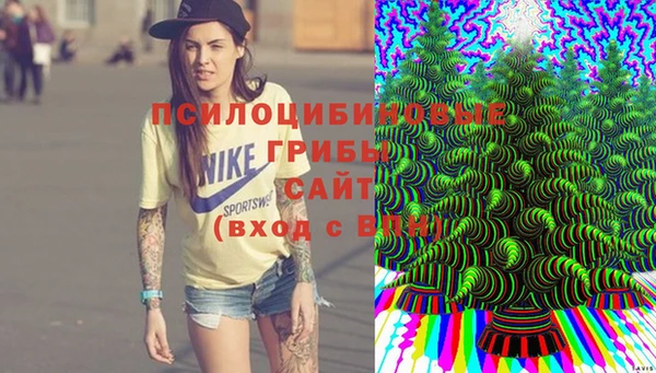 марки lsd Бугульма